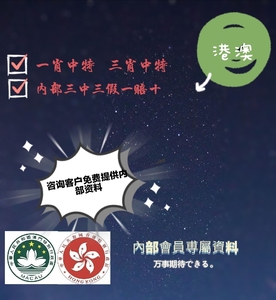 新澳门与香港精准四肖期期中特公中,警惕虚假宣传，数据校验执行