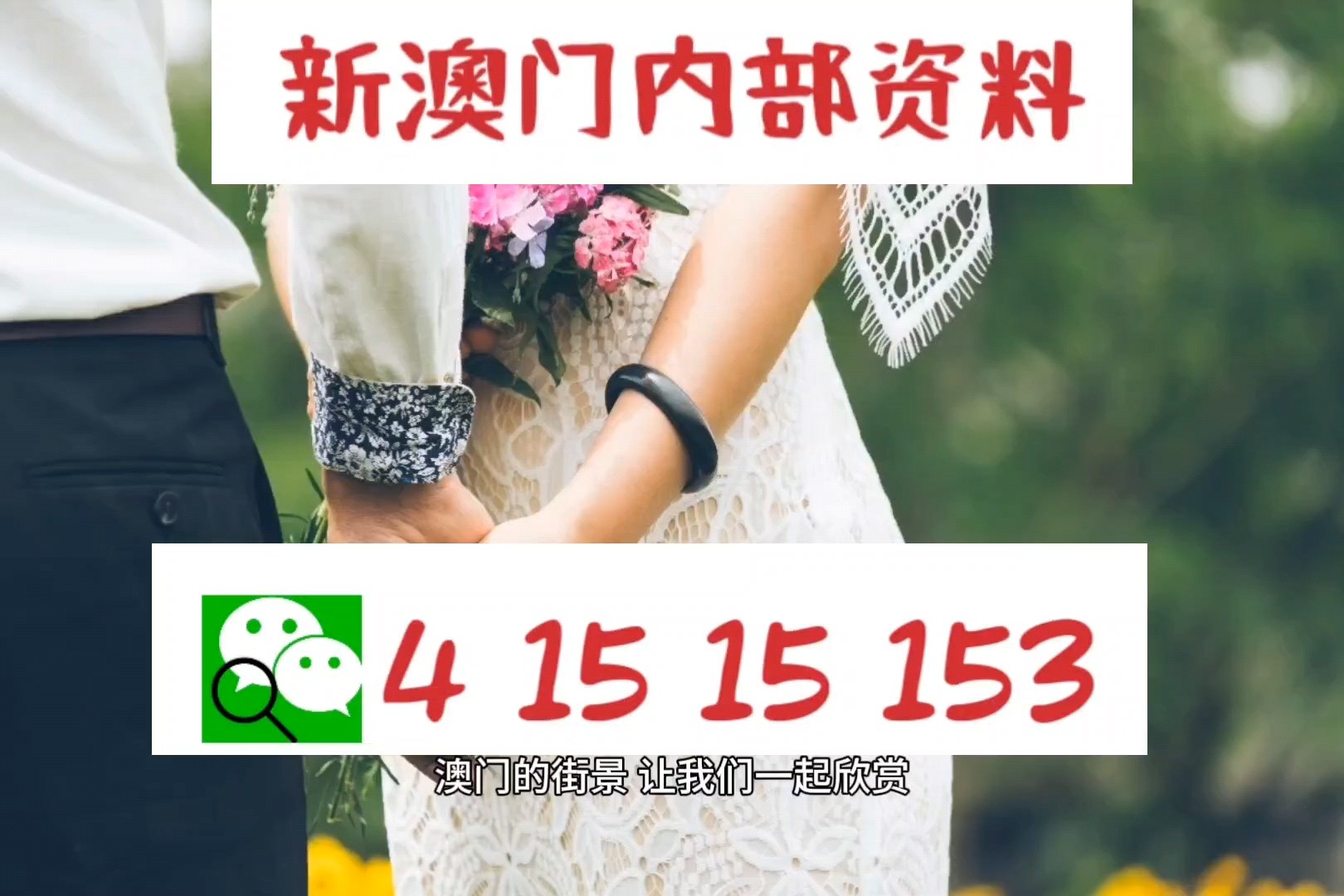 新澳门今晚中特马中,警惕虚假宣传，精选解析落实
