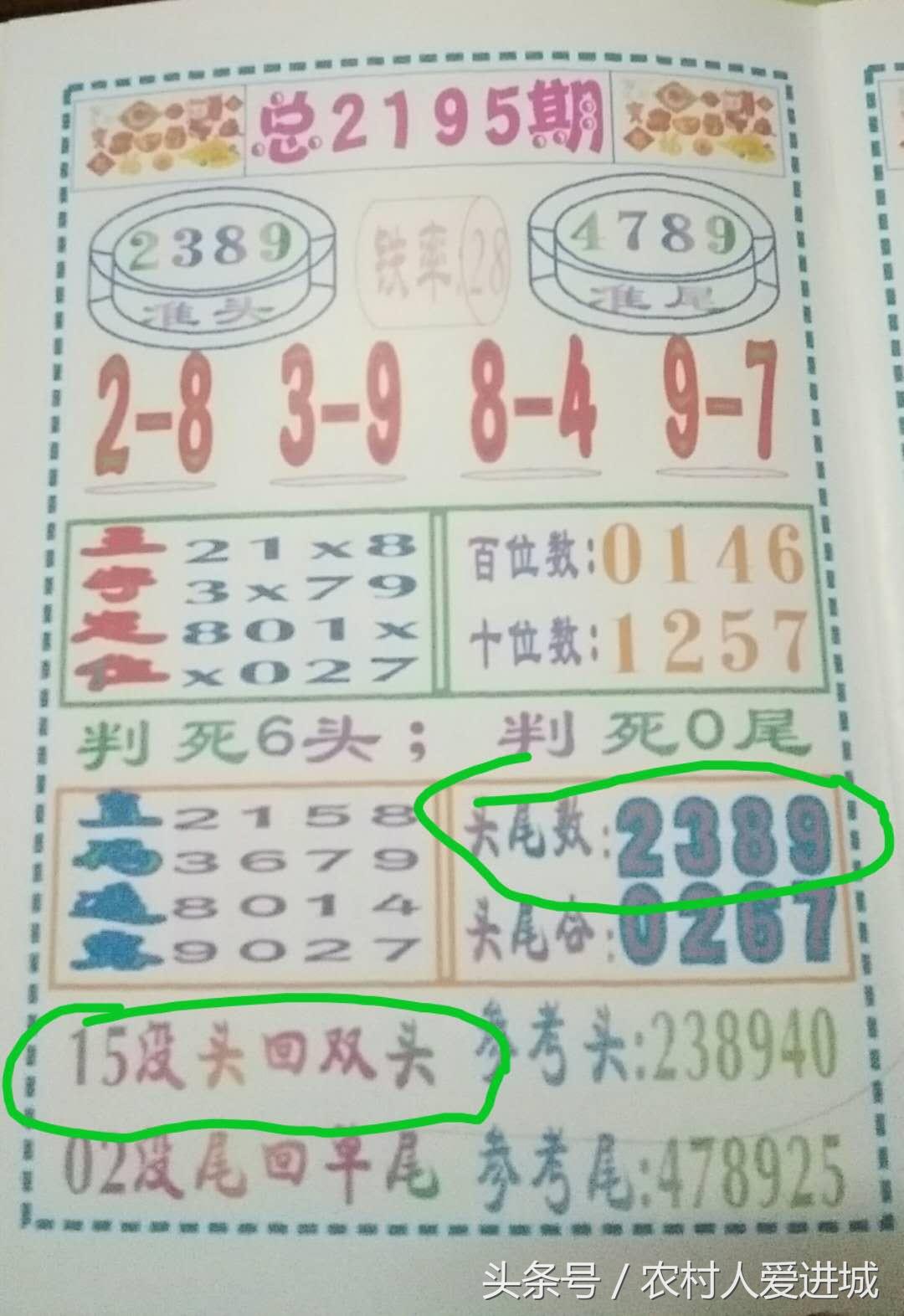 新澳门一肖中100%期期准,词语释义解释与落实展望