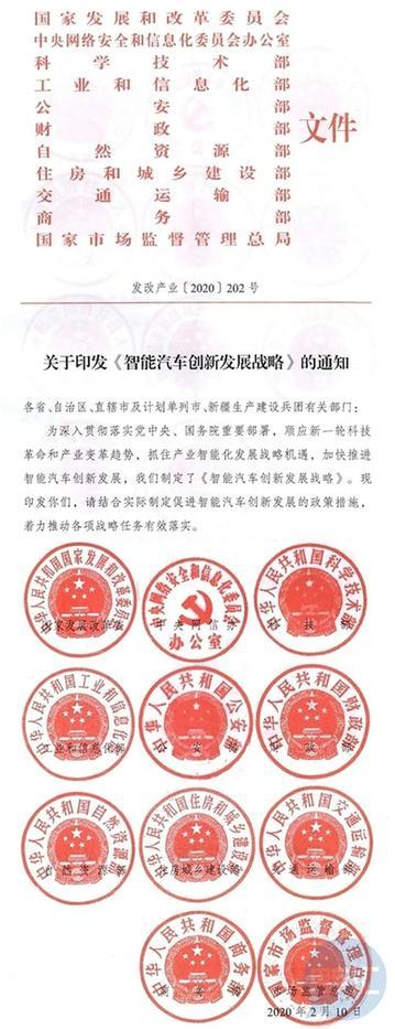 2025年全年资料免费公开,词语释义解释与落实展望