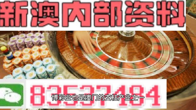 新澳资料正版免费资料,全面释义解释与落实展望